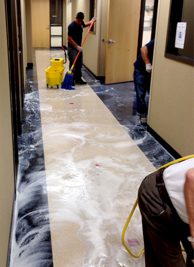 Our Work