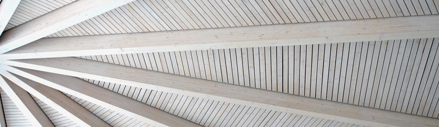 Professional Building Maintenance